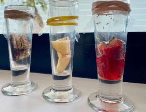 Use these solutions to get of fruit flies instantly