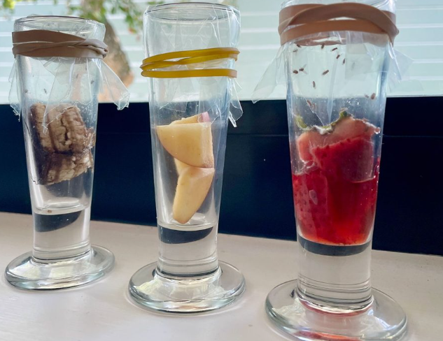 Use these solutions to get of fruit flies instantly